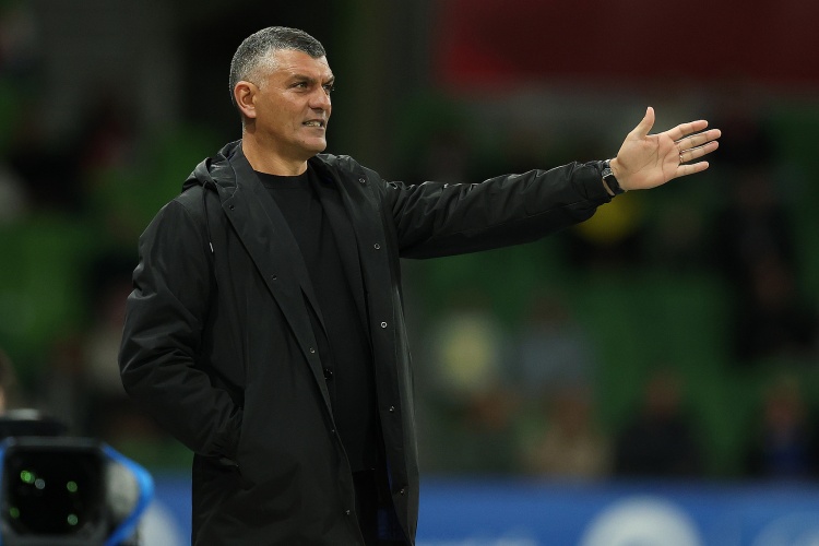 罗斯留任浙江概率不大 约翰下课概率近乎为零
